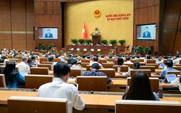 Áp thuế nước giải khát có đường: Cần đánh giá kỹ lưỡng trên cơ sở khoa học và thực tiễn