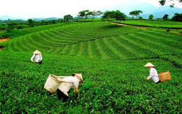4 huyện được công nhận “cán đích” nông thôn mới