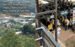 Nỗi niềm của chủ quán cafe thú cưng ở Đà Lạt: Làm mô hình giống hệt, "bên thu nhập gần 1 tỷ/ngày, mình chưa đến 1 triệu"?
