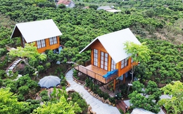 Bắc Giang: Thị xã Chũ sẵn sàng cho mùa du lịch vải thiều