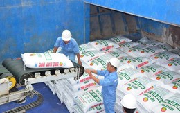 Xuất khẩu phân bón tăng 31,3% về lượng và 26,6% về trị giá