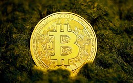 Giá Bitcoin hôm nay 18/6: Chi phí khai thác Bitcoin tăng hơn 34%