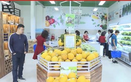 Dấu ấn Chương trình xây dựng nông thôn mới ở xứ Thanh