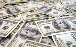Tỷ giá USD hôm nay 18/6: Tỷ giá trung tâm giảm 4 đồng