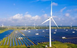 Việt Nam dự kiến sẽ có 2 trung tâm công nghiệp, dịch vụ năng lượng tái tạo