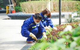 Dịch vụ vận hành chuyên nghiệp nâng tầm trải nghiệm sống ở chung cư