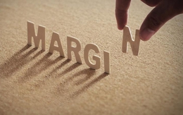 Nhiều cổ phiếu được cấp margin trở lại