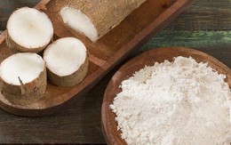 Xuất khẩu sắn Việt Nam tháng 5 tăng trưởng ấn tượng