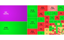 VN-Index đã thiết lập đỉnh mới nhờ lực kéo của cổ phiếu vốn hóa lớn