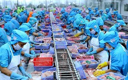 VASEP kiến nghị bảo vệ ngành thủy sản trước nguy cơ thuế quan