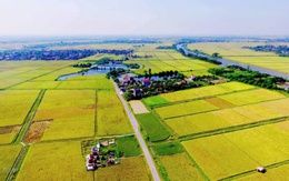 Kéo dài thời gian miễn thuế sử dụng đất nông nghiệp tới hết năm 2030