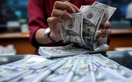 Tỷ giá USD hôm nay 27/6: Tỷ giá trung tâm giảm 5 đồng