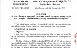 Bình Dương: Tổ chức khởi công, khánh thành nhiều công trình trọng điểm