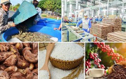 Xuất khẩu nông lâm thủy sản đạt 28,04 tỷ USD