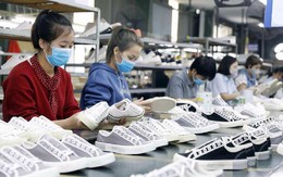 Việt Nam xếp thứ hai thế giới về kim ngạch xuất khẩu giày dép