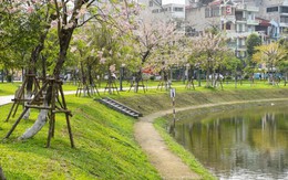 Bắc Ninh dự kiến phát triển thêm khu đô thị