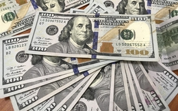 Tỷ giá USD ngày 6/6: Tỷ giá trung tâm giảm nhẹ 3 đồng