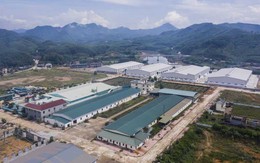 Quảng Ninh thành lập Cụm công nghiệp Quảng Thành quy mô hơn 54 ha