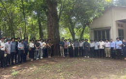 Huyền thoại cao su Đồng Nai: Dấu ấn 50 năm tự hào và trách nhiệm