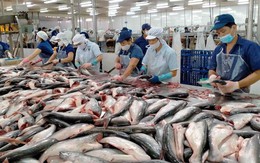 Xuất khẩu cá tra sụt giảm mạnh nhất trong nhóm chủ lực