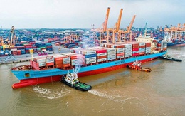 Tỷ lệ sử dụng ưu đãi thuế quan xuất khẩu sang Canada còn rất thấp