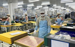 Hà Nội: Thông qua mức hỗ trợ doanh nghiệp SME và startup