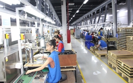 Quảng Ninh: Doanh nghiệp mới tăng mạnh, củng cố vị thế điểm đến đầu tư