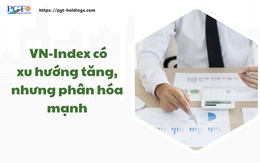 VN-Index có xu hướng tăng, nhưng phân hóa mạnh