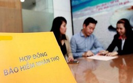 6 tháng đầu năm 2025, tổng doanh thu phí bảo hiểm đạt 67.242 tỷ đồng