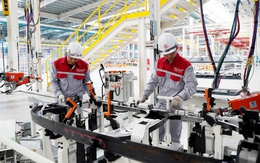 Quảng Ninh thành lập Ban Chỉ đạo cấp tỉnh về phát triển kinh tế tư nhân