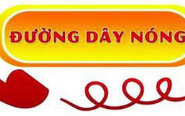 Cà Mau: Công bố đường dây nóng tiếp nhận phản ánh, tố giác hành vi khai thác thủy sản có tính hủy diệt, tận diệt