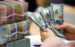 Tỷ giá USD hôm nay 18/7: Tỷ giá trung tâm tăng 9 đồng