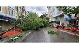 Hải Phòng chủ động ứng phó bão số 3- WIPHA