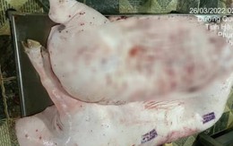 Kết luận cuối cùng vụ C.P. Việt Nam bị tố bán heo bệnh