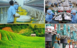 Phát triển công nghiệp môi trường thành ngành độc lập, bền vững
