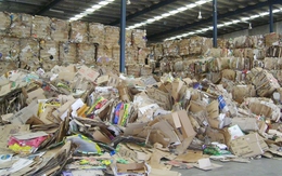 Quy định EPR mang đến nhiều cơ hội cho doanh nghiệp ngành giấy
