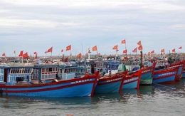 Thanh Hóa: Gần 6.600 tàu thuyền đã neo đậu, tránh trú bão an toàn