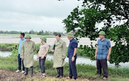 Hưng Yên: Tăng cường công tác phòng, chống bão số 3 tại cơ sở