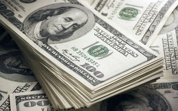 Tỷ giá USD hôm nay 23/7: Tỷ giá trung tâm giảm nhẹ