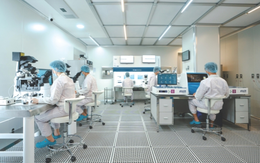 Yếu tố thúc đẩy sự phát triển của thị trường IVF Việt Nam