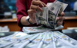 Tỷ giá USD hôm nay 29/7: Tỷ giá trung tâm tăng 24 đồng