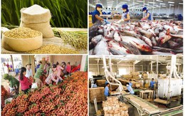 Xuất khẩu nông, lâm, thuỷ sản tăng 15,5%