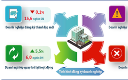 Hà Nội: 15,6 nghìn doanh nghiệp thành lập mới trong 6 tháng