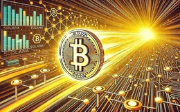 Giá Bitcoin hôm nay 31/7: Dòng tiền vào Bitcoin ETF giảm mạnh 80%
