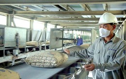 Xi măng, clinker Việt Nam chịu mức thuế chống bán phá giá từ 13,59% - 23,20%