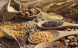 FAO: Giá lương thực toàn cầu tăng nhẹ trong tháng 6