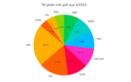 Top 10 công ty chứng khoán có thị phần môi giới lớn nhất quý II/2025