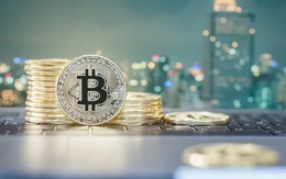 Giá Bitcoin hôm nay 9/7: Các công ty tăng cường mua Bitcoin
