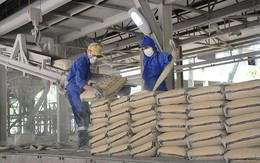 10 doanh nghiệp Bộ Xây dựng nửa đầu năm đạt 29.914 tỷ đồng giá trị sản xuất kinh doanh