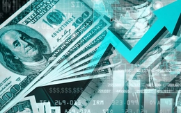 Tỷ giá USD hôm nay 9/7: Tỷ giá trung tâm giảm 2 đồng